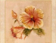 42553. ����, Cheri