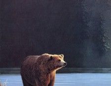 Parker, Ron - Grizzly Bear (end. ������, ���