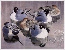 43638. Tunnicliffe, 