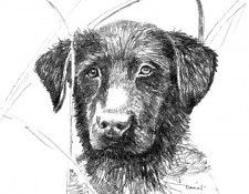 Ipl 0018 Untitled KevinDaniel sqs. �������, ������� � ����� ������