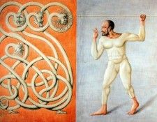 33032. ���������, �������� �����