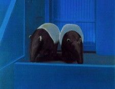 CAVHD9NN. Aillaud ����