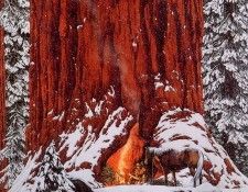 lrs Doolittle Bev Xmas Day Giveor Takea Week. �������, ���