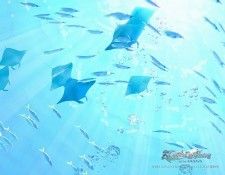 kagaya 073. �����, Joh