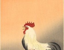 pic09332. �����