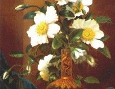 heade white cherokee roses in salamander vase c1883-95. ,  