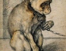 Goltzius Hendrick Monkey chained Sun. , 