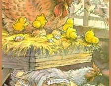 Tikvah06-ChickensChoice-NormandChartier-sj. , Normand
