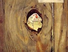 The Peephole. �������, ������