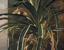 File9623. �����, ������