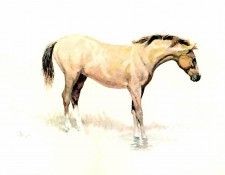 abeita csg055 serenity. ��������, ����