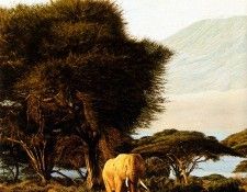 Ae 13 Kilimanjaro Morning  Detail  Simon Combes sqs. ����, �����