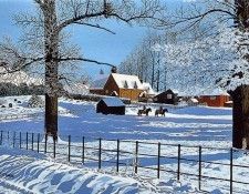 Trevor Wells - Rural Winter (mouthpainted), De. �����, ������