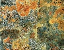 art 718. ������, �����