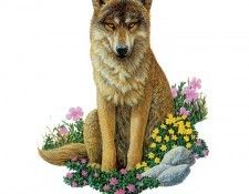 kb Bragg CL Wolf. �����, ������ ����