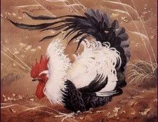 43605. Tunnicliffe, 