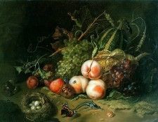 Ruysch Rachel Still Life Sun . , 