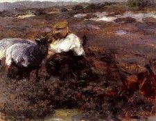 06698. Zugel, 