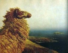 File8996. Wyeth, 