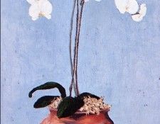 Julie Hinton - Orchidee, De. ������, �����