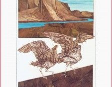 vanKampenVlasta LastOfTheCurlews-We. ������, ������ ���