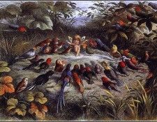 lrsDoyleRichard-RehearsalinFairyland. ����, ������