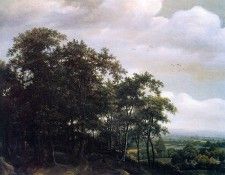 Lagoor de Jan Wooded landscape Sun. Lagoor,  