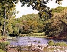 waters edge csg017 the river taw near umberliegh. �������, ���������