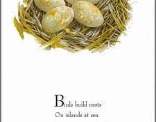 pa TonyOliver BirdsBuildNests 04a. , 