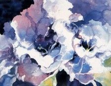 Stephen Blackburn - Gloxinia, De. , 