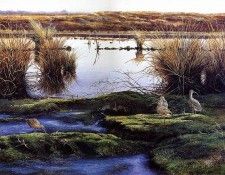 Verstappen Pieter Nature 01 Sun. Verstappen, �����