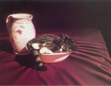 kb Howe Nancy-Very Still Life. ���, �����