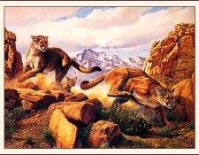 bs-na- Barbara A Peets- Maternal Defense. �����, �������