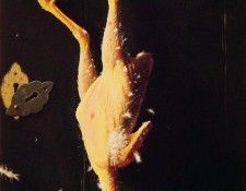 For Sundays Dinner. �������, ������ �����