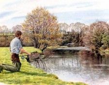 waters edge csg020 the river teifi above llanybydder. , 