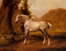 Stubbs George A Grey Stallion In A Landscape. , 