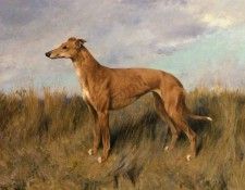 Wardle Arthur Henrietta Horn A Greyhound. , 