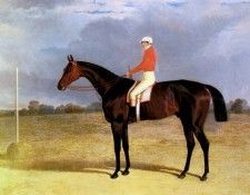 Herring Snr John Frederick A Dark Bay Racehorse With Patrick Connolly Up. ,  