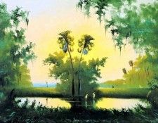 johnny daniels-illustrated landscapes csg014. , 