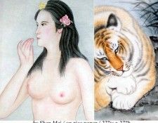 Shen Mei zd0064a. , 