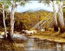 pa GeorgePhillips AustralianBush 11. �������, ������