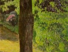 07153. -,  (1870-1905)