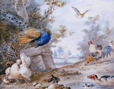 Schouman Aert Bird piece Sun. Schouman, ����