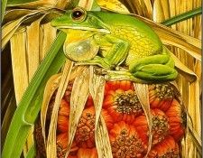 pa TonyOliver FrogsSingSongs 07b. , 