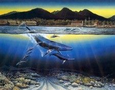 kb Nelson RL Maui Daybreak. Nasmith, 