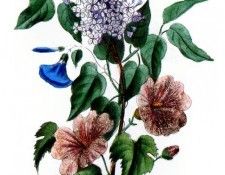 Barbara Milo Ohrbach - A Token of Friendship 19, De. Ohrbach,  Milo