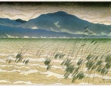 ItoShinsui-Hira-sj. , Shinsui
