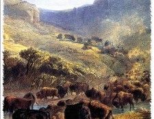 Sharper Native Americans SWD 09. ������, ����