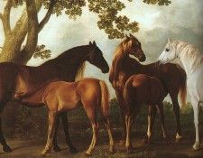 stubbs1. ������, ������