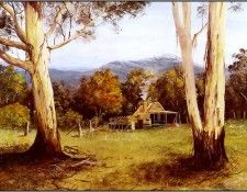pa GeorgePhillips AustralianBush 09. , 